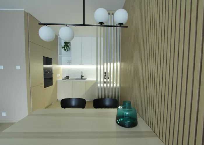 Apartment Strict Center Poznan